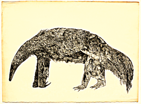 Anteater