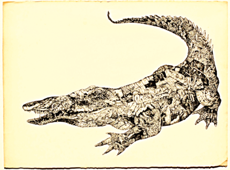 Alligator